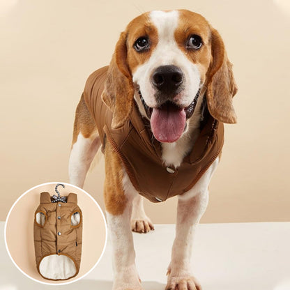 Manteau pour chien couleur vif