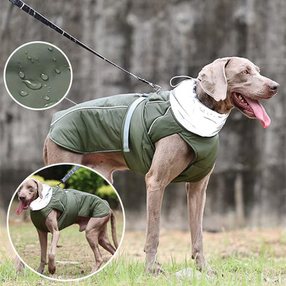 Manteau pour chien protection optimale