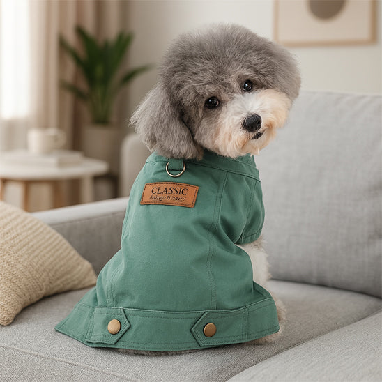 Manteau chien Garde chaud