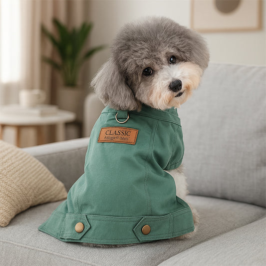 Manteau chien Garde chaud