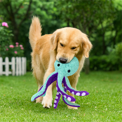 Peluche chien Aime compagnon Pieuvre