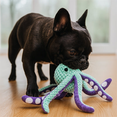 Peluche chien Mordiller bon pour dents