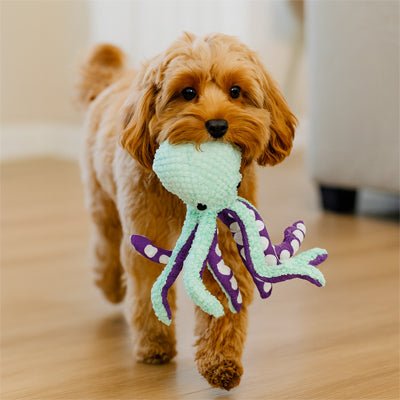 Peluche chien promenade amie pieuvre