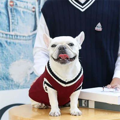Pull pour chien Matière tricoter épaisse Isolante