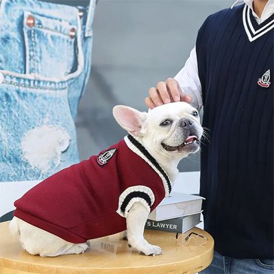 Pull pour chien Ultra chaud et durable