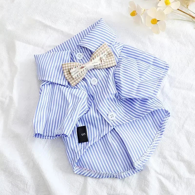 Chemise en polyester pour petit chien – Confortable et stylée, disponible en noir et bleu