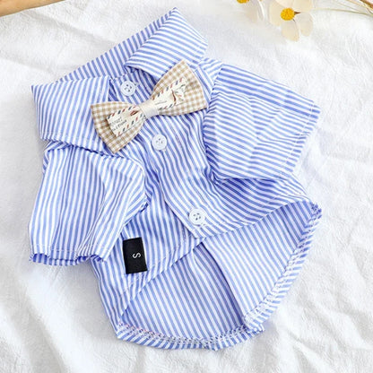 Chemise en polyester pour petit chien – Confortable et stylée, disponible en noir et bleu