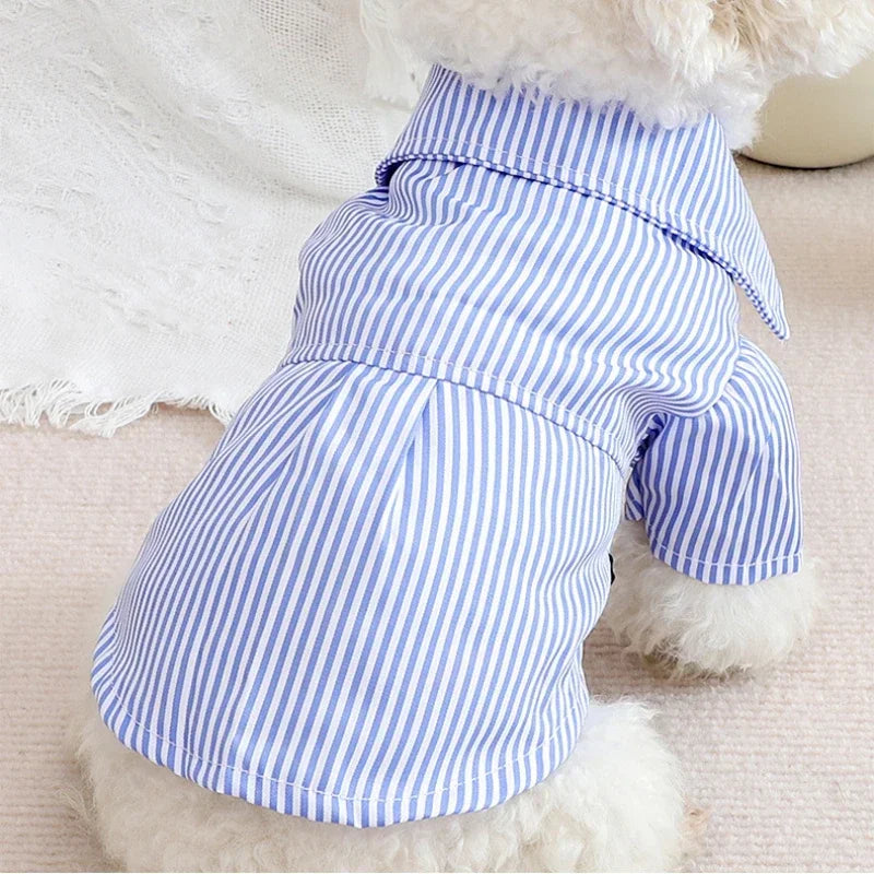 Chemise en polyester pour petit chien – Confortable et stylée, disponible en noir et bleu