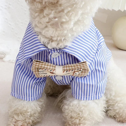 Chemise en polyester pour petit chien – Confortable et stylée, disponible en noir et bleu