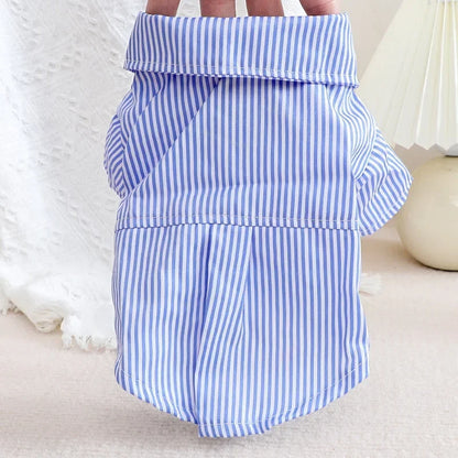 Chemise en polyester pour petit chien – Confortable et stylée, disponible en noir et bleu