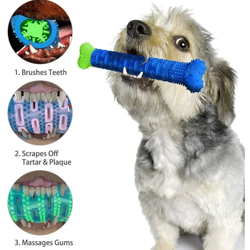 Jouet silicone bien pour les dents et chien aimes bien jouer.
