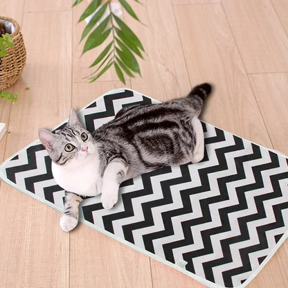 Tapis et pipi pad pour entrainement lavable et peux protège le siège de votre auto de vos animaux de compagnie.