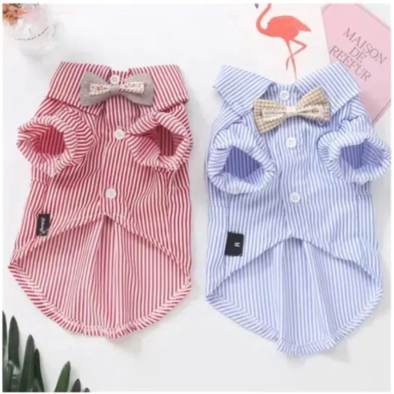 Chemise en polyester pour petit chien – Confortable et stylée, disponible en noir et bleu