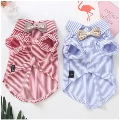 Chemise en polyester pour petit chien – Confortable et stylée, disponible en noir et bleu