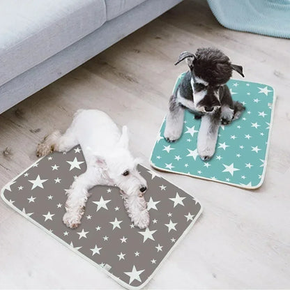 Tapis et pipi pad pour entrainement lavable et peux protège le siège de votre auto de vos animaux de compagnie.