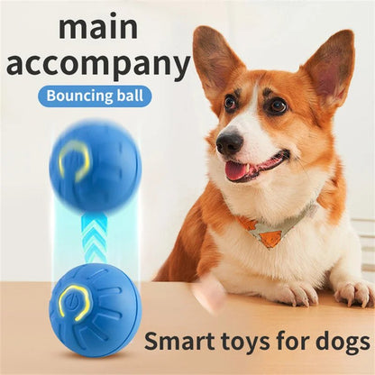 Balle automatique intelligent interactive pour animal de compagnie. - WOOF TOUT
