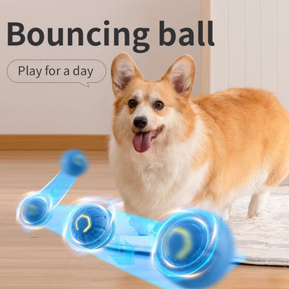 Balle automatique intelligent interactive pour animal de compagnie. - WOOF TOUT