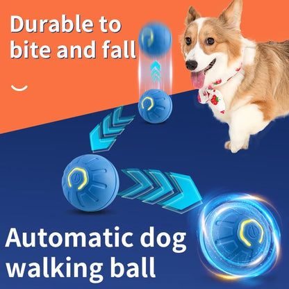 Balle automatique intelligent interactive pour animal de compagnie. - WOOF TOUT