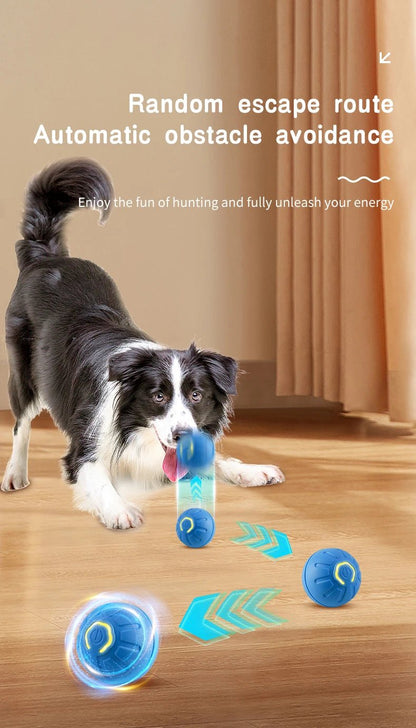 Balle automatique intelligent interactive pour animal de compagnie. - WOOF TOUT