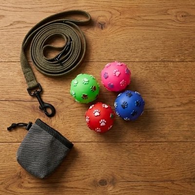 Balle pour Chien Taille  Fourni avec une pochette de rangement et une laisse pour faciliter le transport