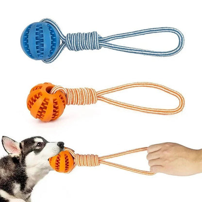 Balle pour d entraînnement et aime bien les surprises bon pour la mâchoir pour animal de compagnie. - WOOF TOUT