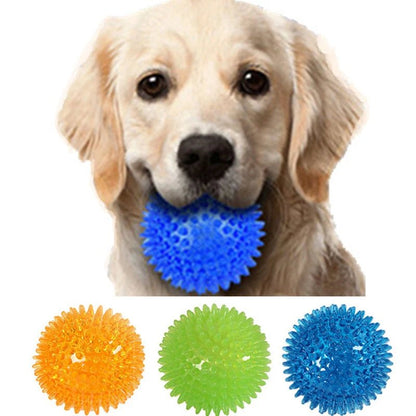 Balle pour mâcher et jeux entrainement pour animal de compagnie. - WOOF TOUT