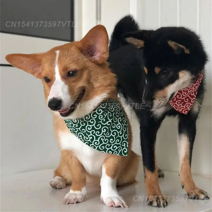 Belle ceinture pour chien avec le matériel en forme de triangle fait de cotton ajustable. - WOOF TOUT