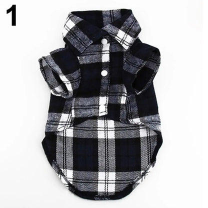 Belle Chemise carotter fait de polyester pour petit animal de compagnie comme chihuahua, bichon maltais . - WOOF TOUT
