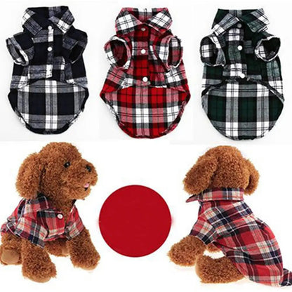 Belle Chemise carotter fait de polyester pour petit animal de compagnie comme chihuahua, bichon maltais . - WOOF TOUT
