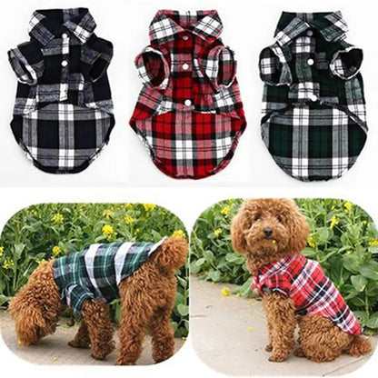 Belle Chemise carotter fait de polyester pour petit animal de compagnie comme chihuahua, bichon maltais . - WOOF TOUT