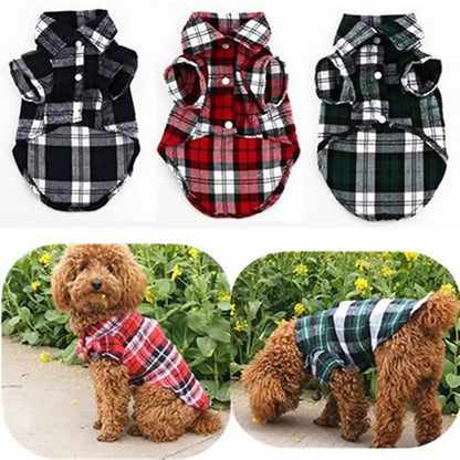 Belle Chemise carotter fait de polyester pour petit animal de compagnie comme chihuahua, bichon maltais . - WOOF TOUT