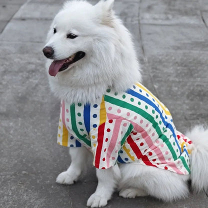 Belle chemise de sortie et confortable pour de animal de compagnie. - WOOF TOUT
