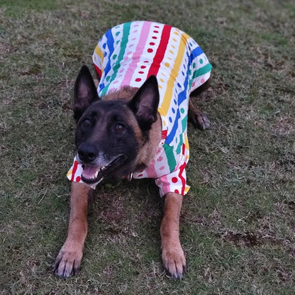 Belle chemise de sortie et confortable pour de animal de compagnie. - WOOF TOUT
