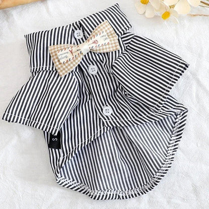 Belle chemise fait de polyester pour petite taille fait très bien deux couleurs . - WOOF TOUT