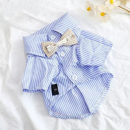 Belle chemise fait de polyester pour petite taille fait très bien deux couleurs . - WOOF TOUT