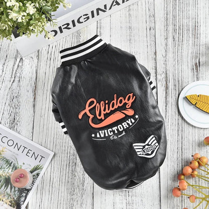 Belle veste fait de 100% coton pour automne pour petits animales de compagnie . - WOOF TOUT