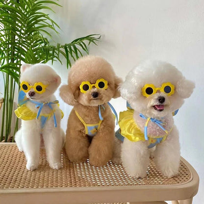Bikini de plage, Wow moi petite taille chihuahua ou yorkshere aime bien et vous - WOOF TOUT