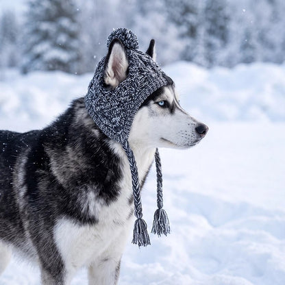 Bonnet pour chien​ Convient à différentes races de petits à moyens chiens comme les corgis, carlins, bouledogues français ou border collies