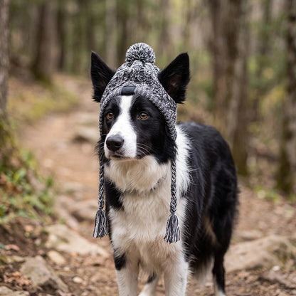 Bonnet pour chien​ Élément décoratif sur le dessus ajoutant un style ludique et tendance