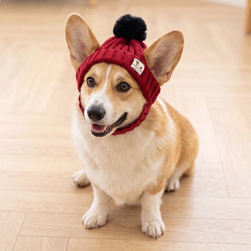 Bonnet pour chien​  Garde la tête au chaud lors des sorties temps froid ou hivernal
