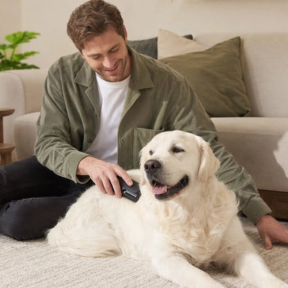 Brosse Chien conçu pour une utilisation douce sans irriter la peau