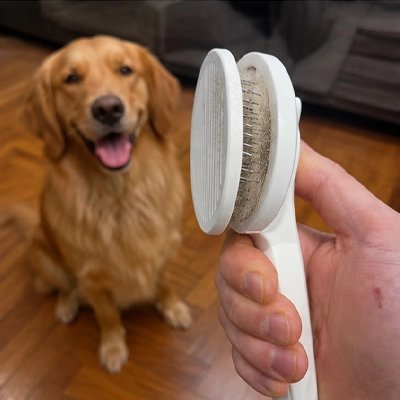 Brosse pour Chien convient aux chiens et chats, toutes tailles de poils