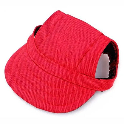 Casquette avec des oreilles qui respire ,réglable ,pour animal de compagnie. - WOOF TOUT