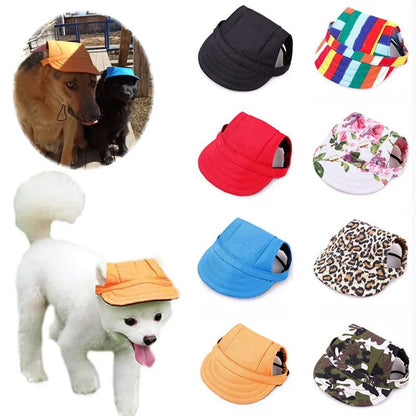 Casquette avec des oreilles qui respire ,réglable ,pour animal de compagnie. - WOOF TOUT