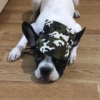 Casquette avec des oreilles qui respire ,réglable ,pour animal de compagnie. - WOOF TOUT
