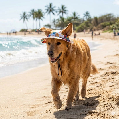 Casquette chien​ coupe ajustée qui ne gêne pas les mouvements ni la vision de l'animal