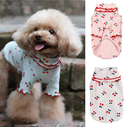 Chandail avec petites cerises pour chiens pour de petites tailles. - WOOF TOUT
