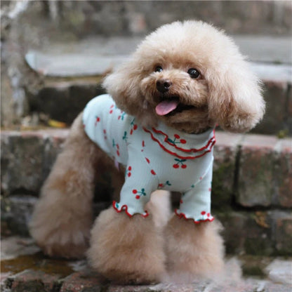 Chandail avec petites cerises pour chiens pour de petites tailles. - WOOF TOUT