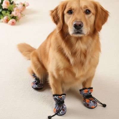 Chaussures pour Chien  Facile à enfiler et à retirer pour simplifier l'utilisation quotidienne