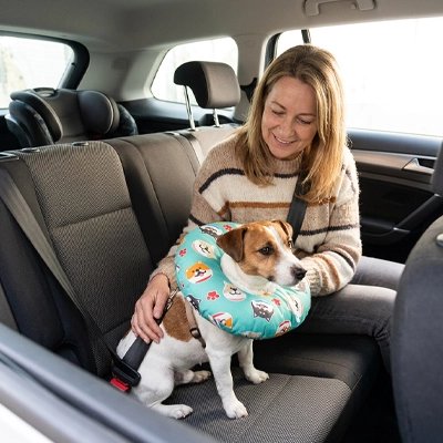 Collerette Chien Convient à différentes races et morphologies, des petits chiens aux races moyennes